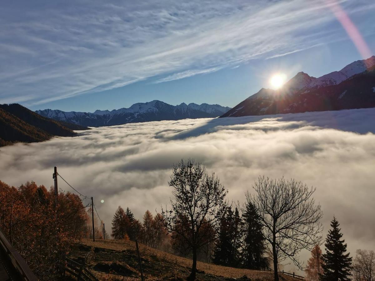 Budamerhof Virgen Bagian luar foto